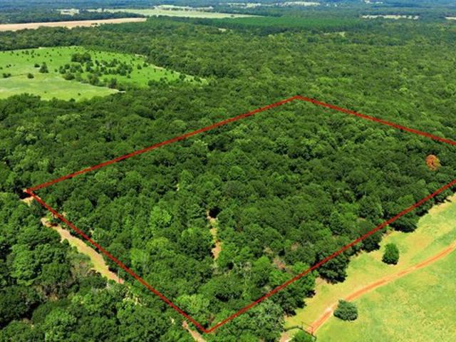 Land for sale in Henderson, Texas