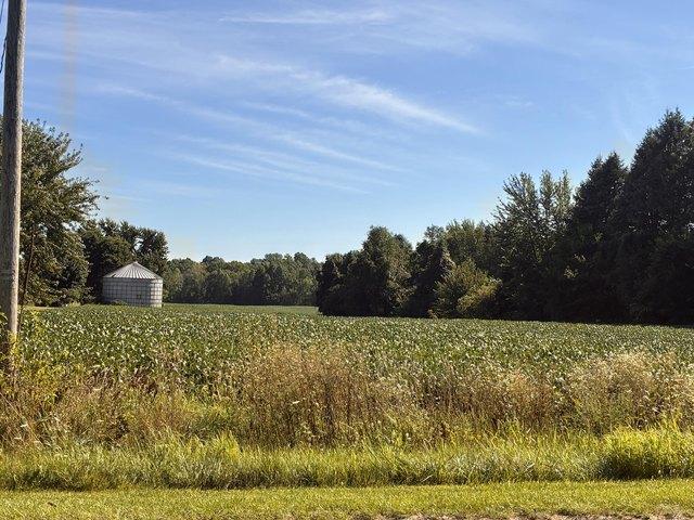 Land for sale in Lawrence, Michigan