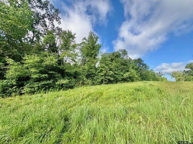 Land for sale in Winona, Smith County