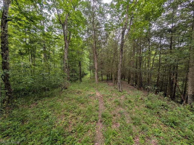 Land for sale in Bloomingdale, Ohio