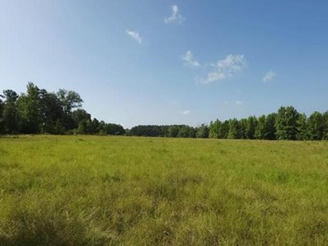Land for sale in Mount Enterprise, Texas