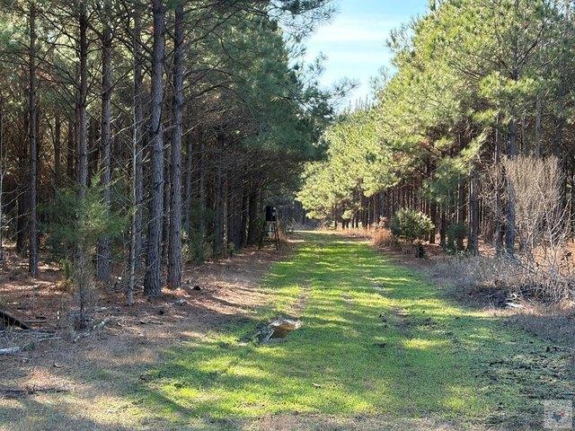 Land for sale in Queen City, Texas