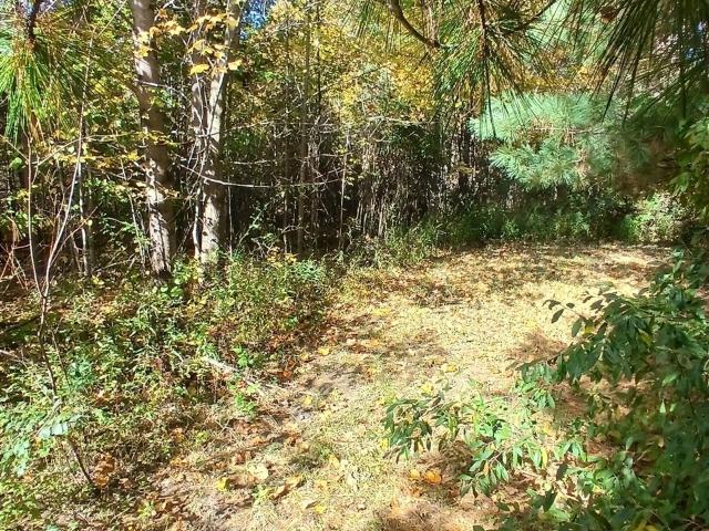Land for sale in Covert, Covert Township