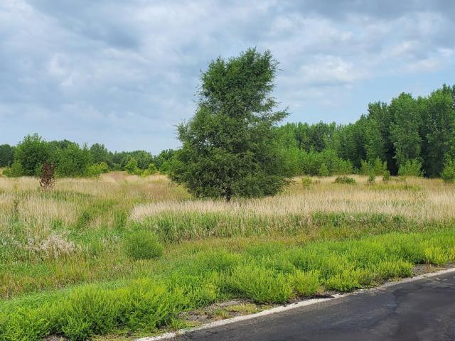 Land for sale in Wang Township, Renville County