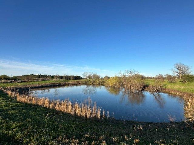 Land for sale in Billingsley, Alabama