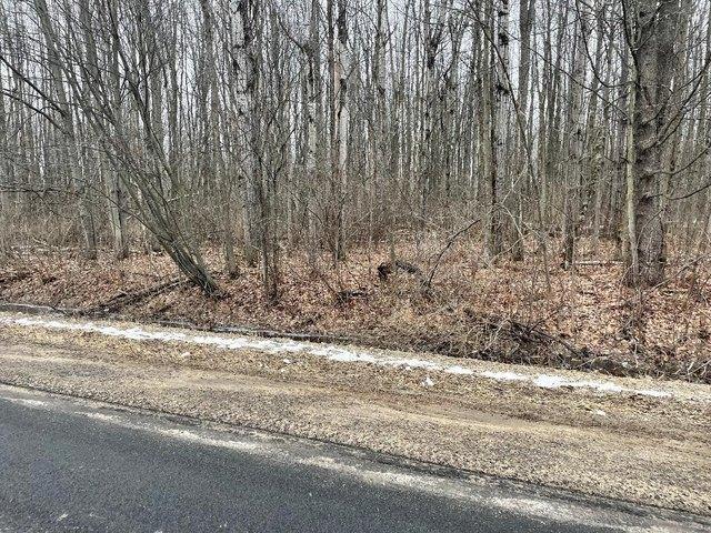 Land for sale in Massena, New York
