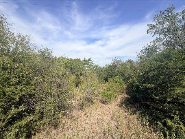 Land for sale in Wills Point, Van Zandt County