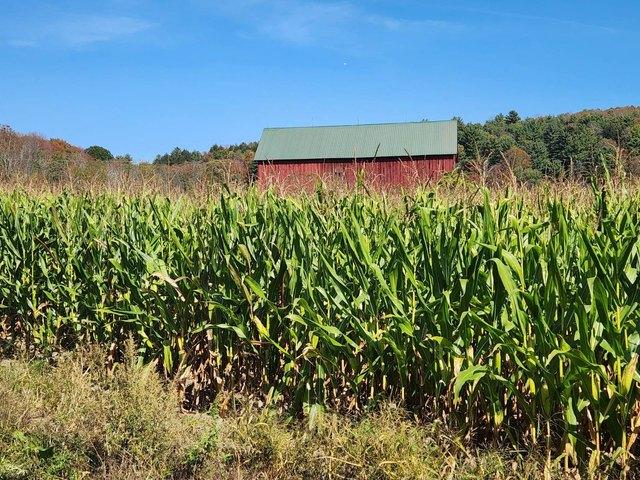 Farm for sale in Guilford, New York