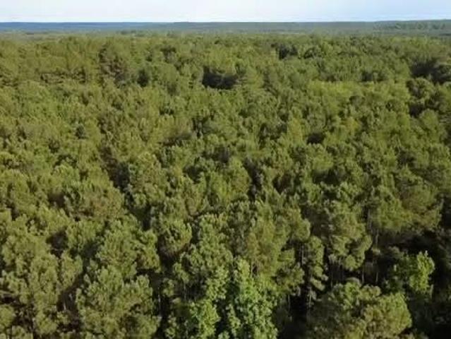 Land for sale in Dale, Alabama