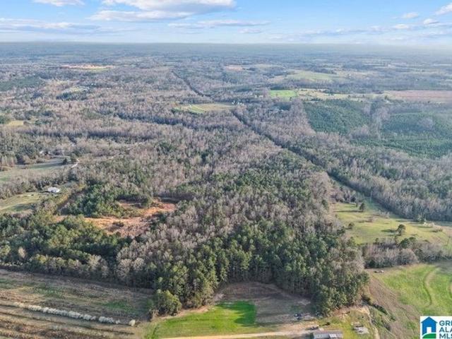 Land for sale in Clanton, Alabama