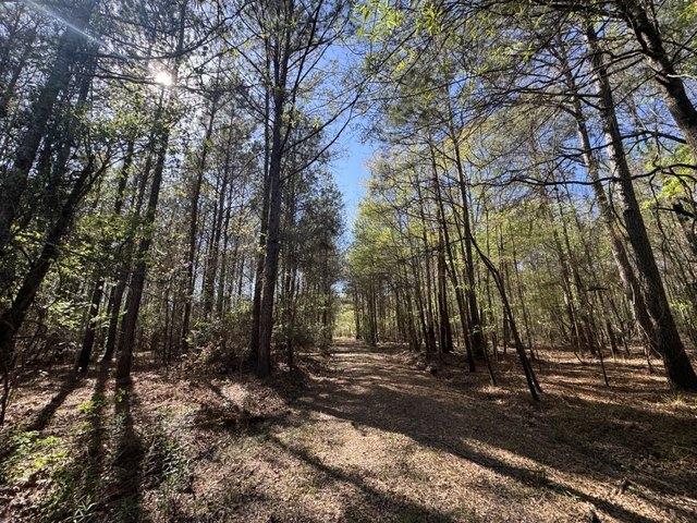 Land for sale in Colmesneil, Texas