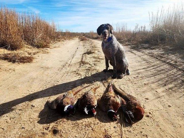 Land for sale in Kansas