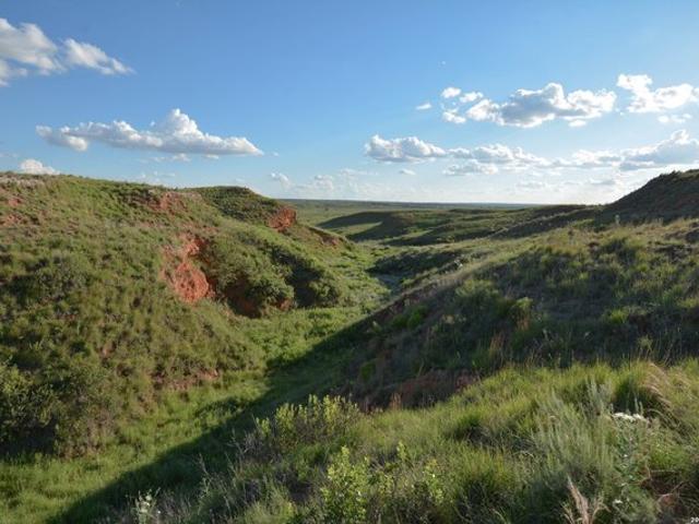 Land for sale in Wheeler, Texas