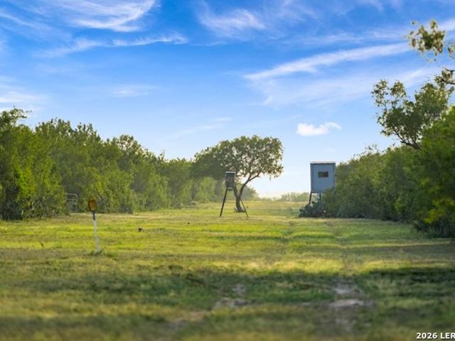 Farm for sale in Freer, Texas