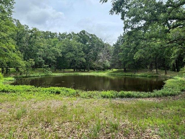 Land for sale in Kemp, Texas