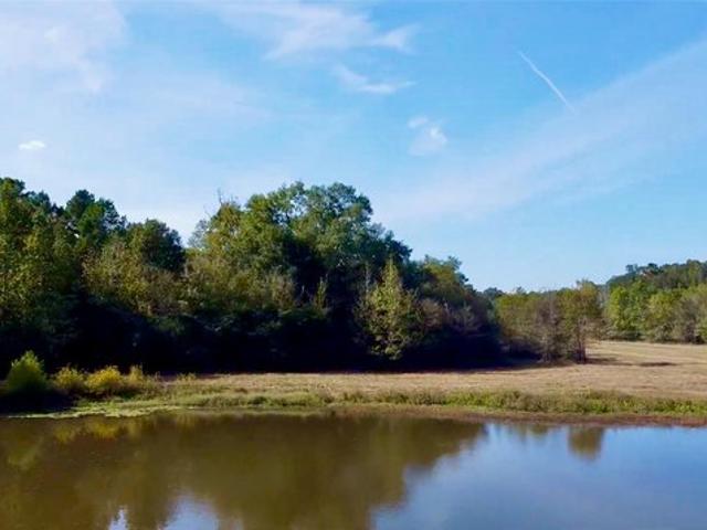 Land for sale in Lovelady, Texas
