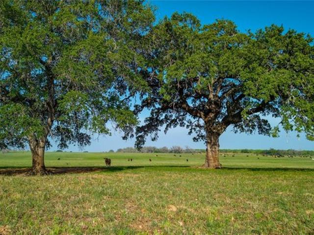 Farm for sale in Floresville, Wilson County