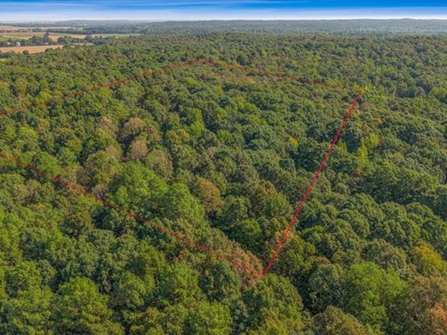 Land for sale in Lafe, Greene County