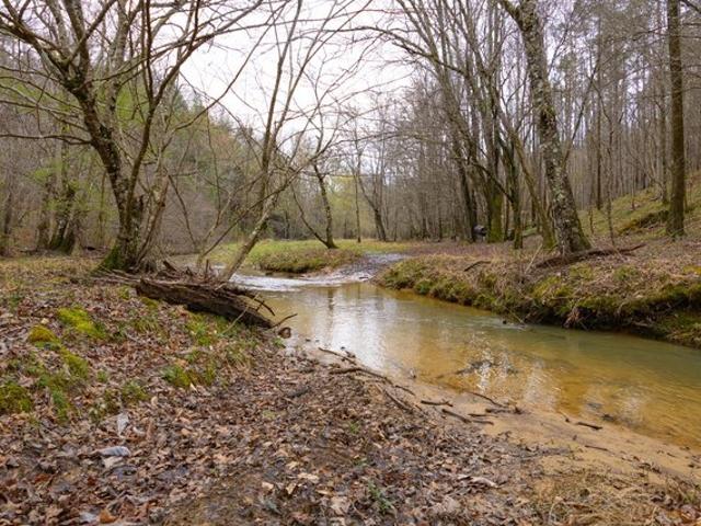 Land for sale in Haleyville, Alabama
