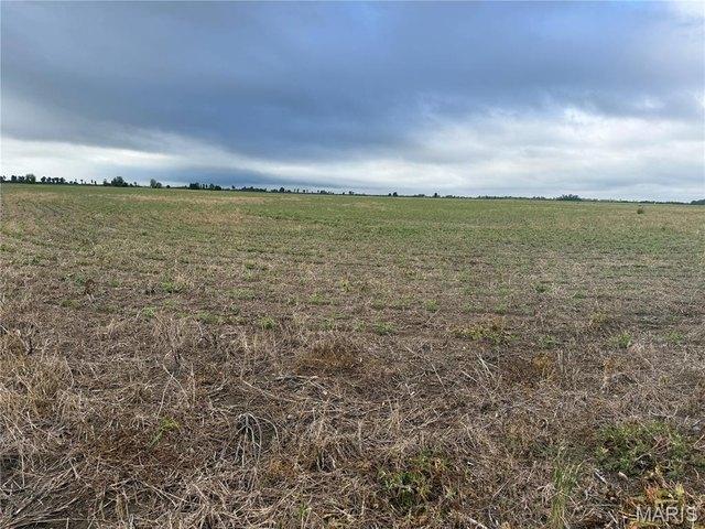 Farm for sale in Hayti, Missouri