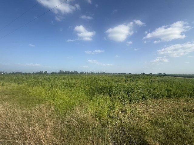 Land for sale in Hayti, Missouri