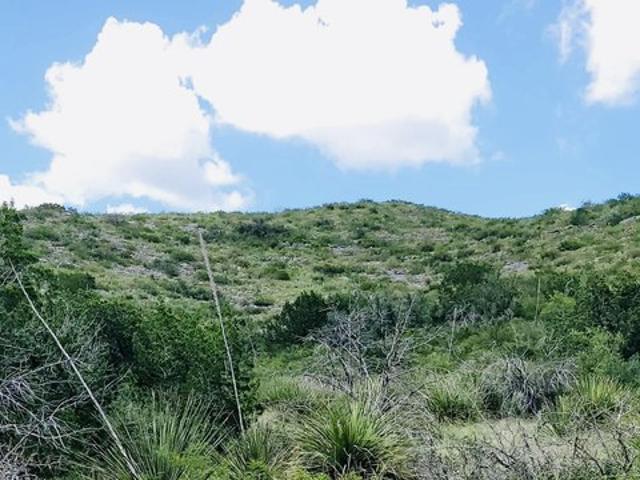 Farm for sale in Uvalde, Uvalde County
