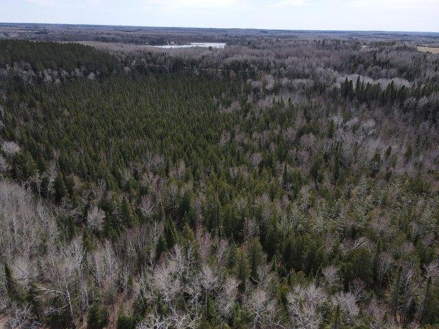 Land for sale in Effie, Minnesota