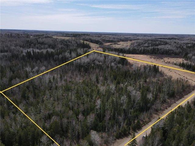 Land for sale in Effie, Minnesota