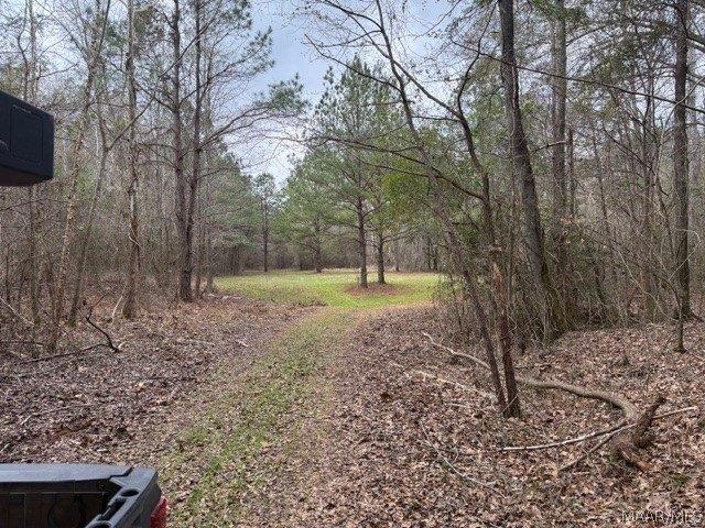 Land for sale in Billingsley, Alabama
