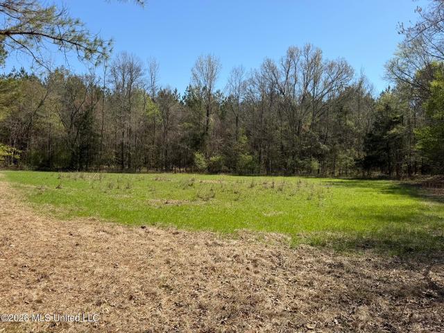 Land for sale in Goodman, Mississippi