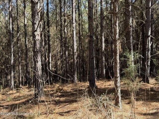 Land for sale in Sallis, Mississippi
