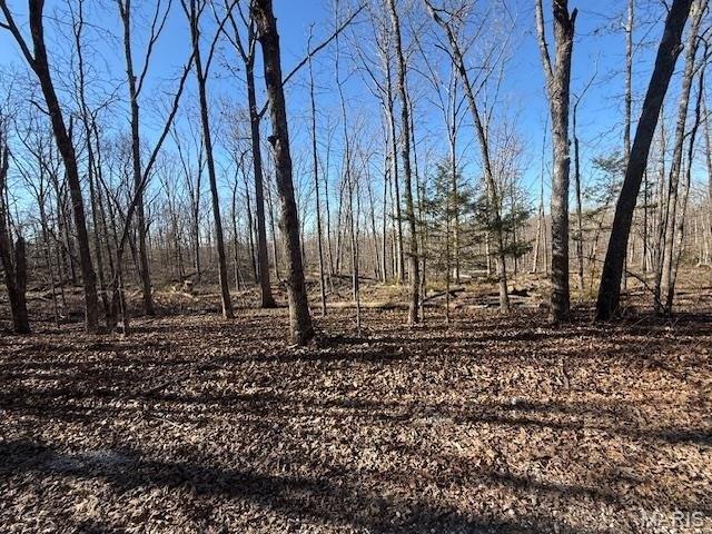 Land for sale in Phelps, Missouri