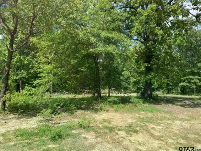 House for sale in Morris, Texas