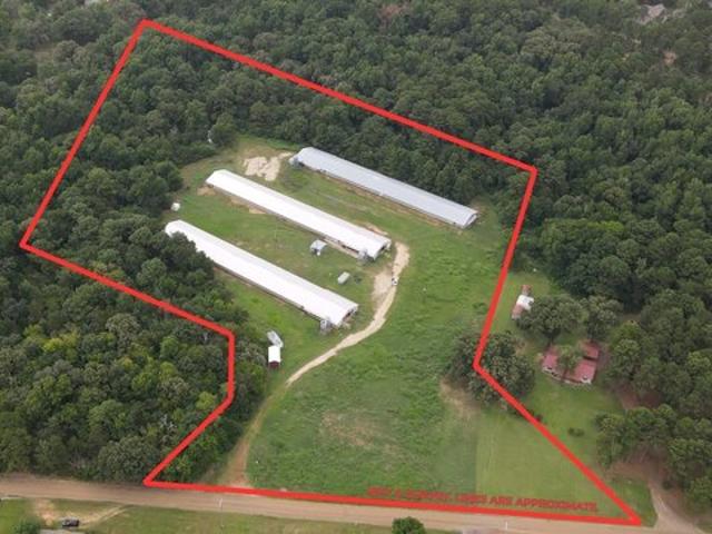 Land for sale in Camp, Texas