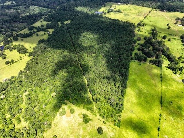 Land for sale in Crockett, Texas