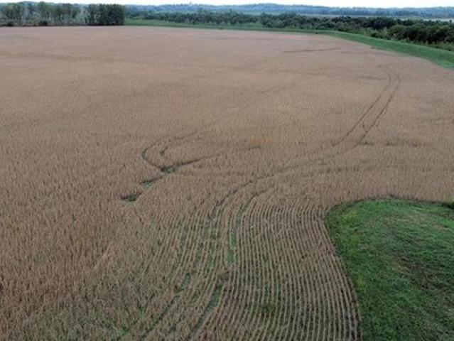 Farm for sale in Missouri