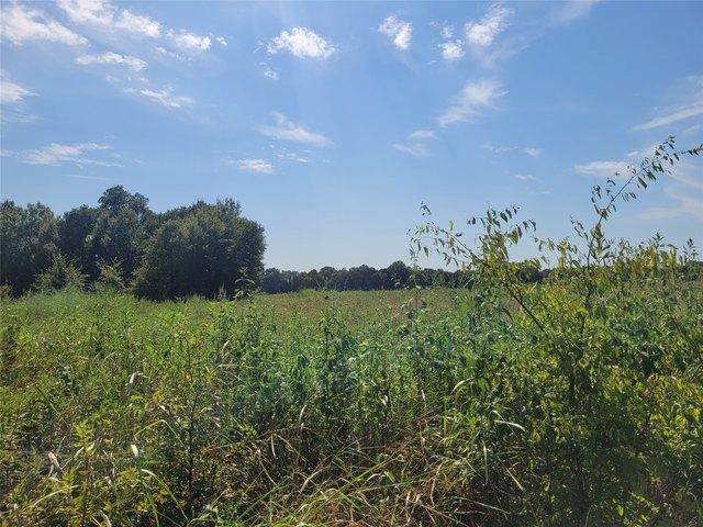 Land for sale in Clarksville, Texas