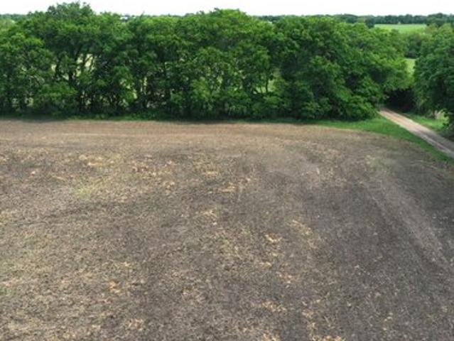 Land for sale in Fannin, Texas