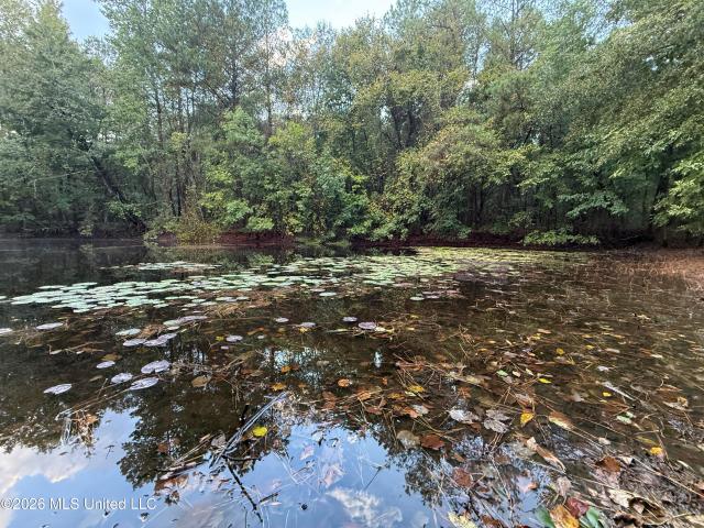Land for sale in McAdams, Sallis