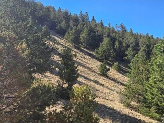 Land for sale in Center, Colorado