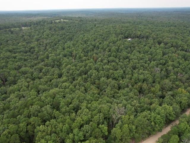 Land for sale in Shannon, Missouri