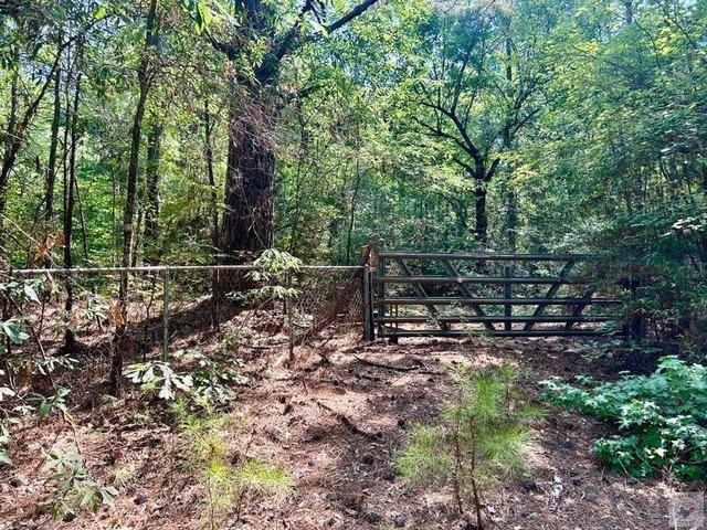 Land for sale in Atlanta, Texas
