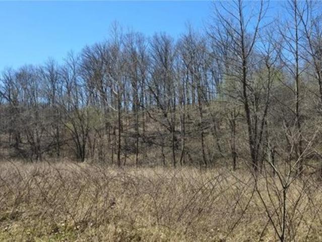 Land for sale in Reynolds, Missouri