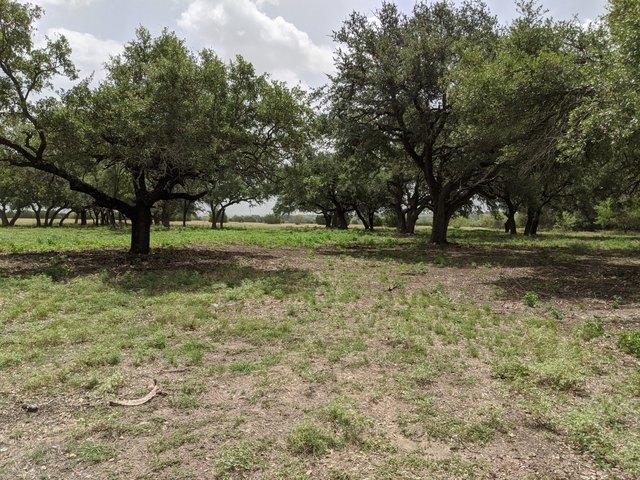 Land for sale in Hamilton, Texas