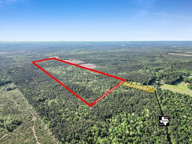 Land for sale in Jasper, Texas