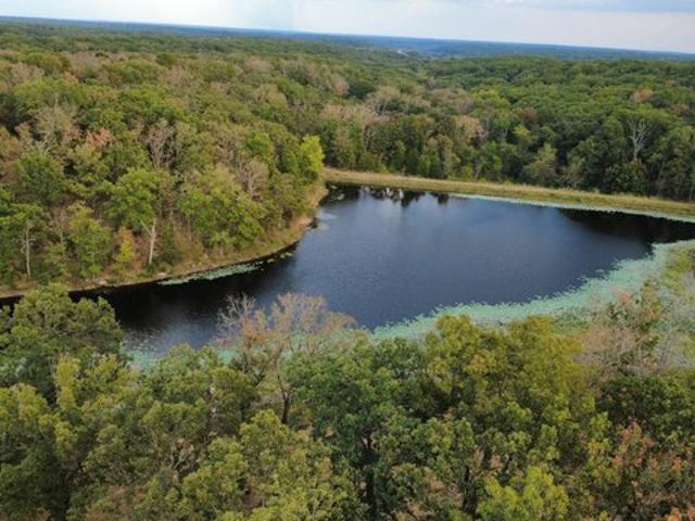 Land for sale in Cross Timbers, Hickory County