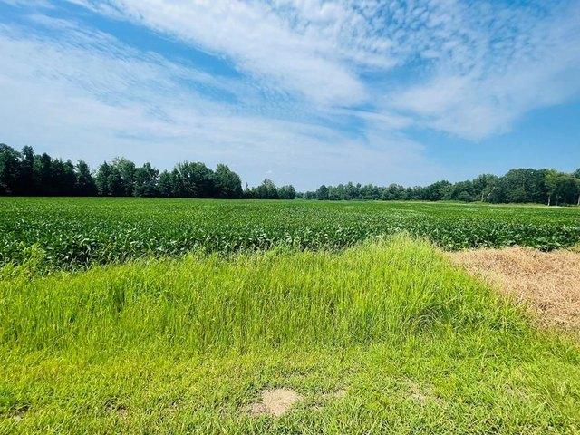 Land for sale in Oxford, Mississippi