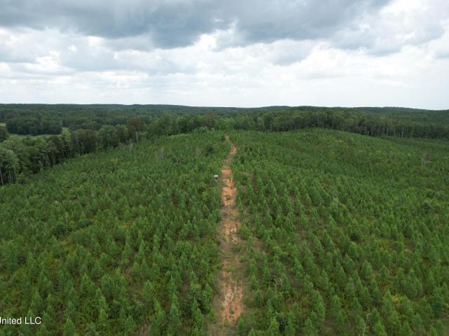 Land for sale in Mississippi