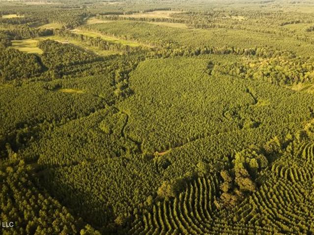 Land for sale in Union, Mississippi