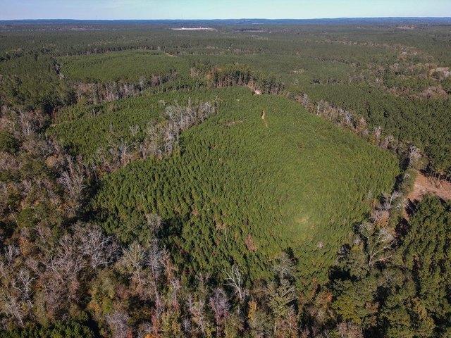 Land for sale in Sabine, Texas